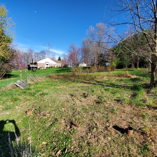 overgrown garden before 