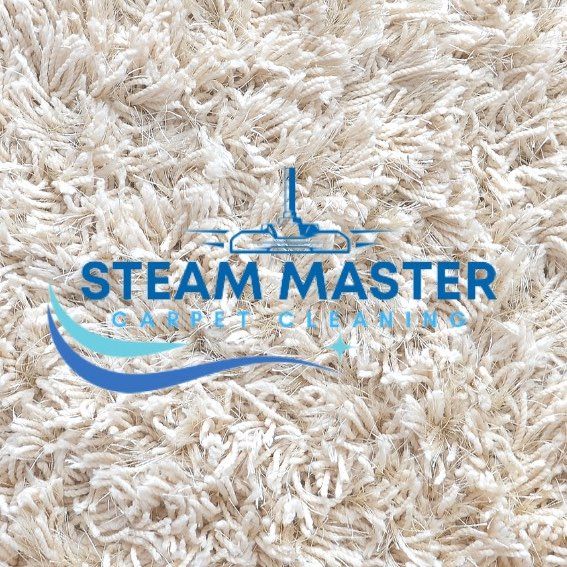 Steam Master Carpet Cleaning