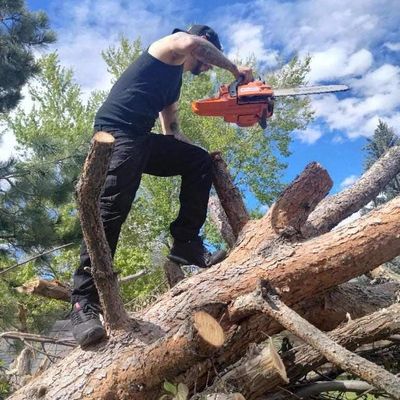 Avatar for Master Tree Care