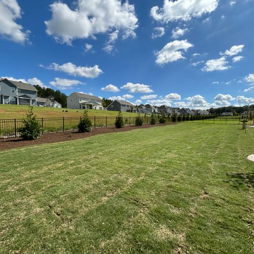 Sod Installation