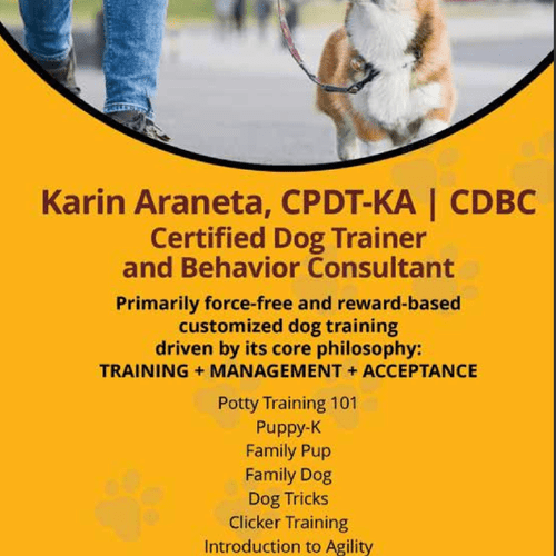 Certified Dog Trainer and Behavior Consultant