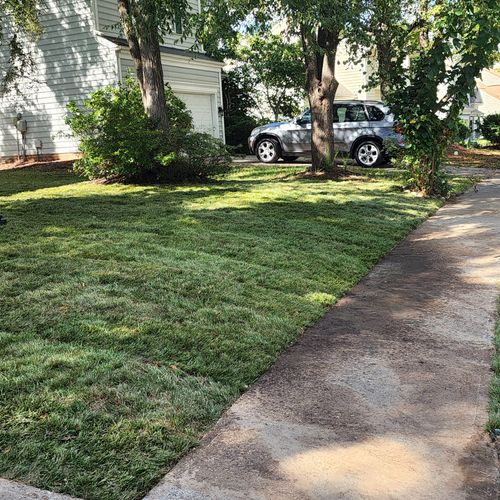 Sod Installation