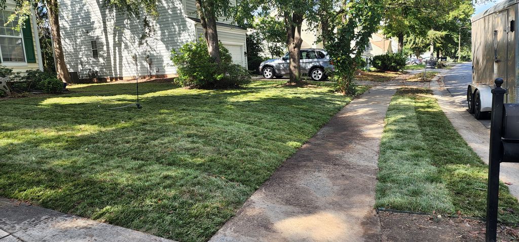 Sod Installation