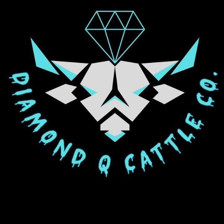 Diamond Q Cattle Co.