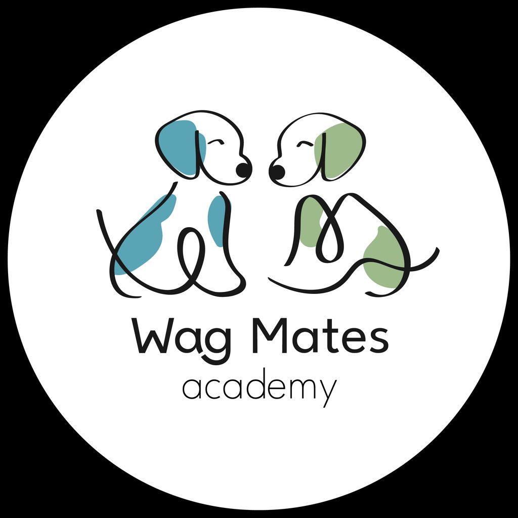 Wag Mates Academy, NY/NJ