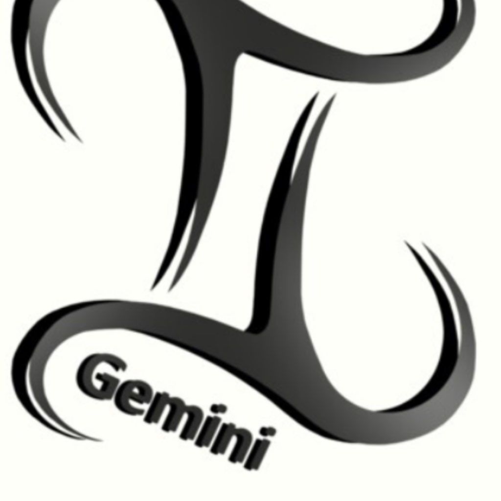 Gemini home solutions