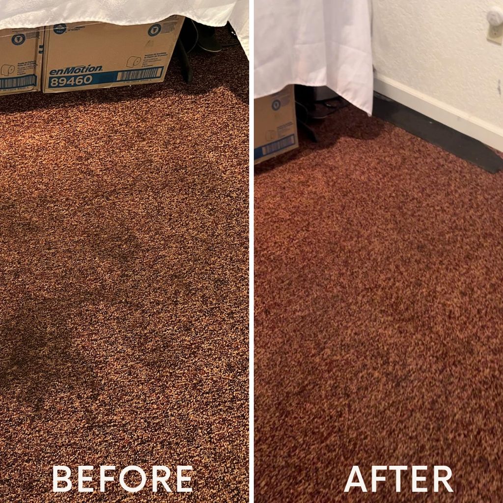 Deep carpet cleaning in Newark, CA – Revitalize yo