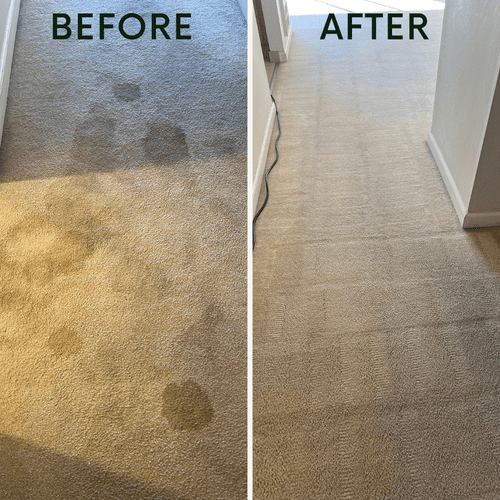 Living room carpet refresh in Oakland, CA – Stubbo