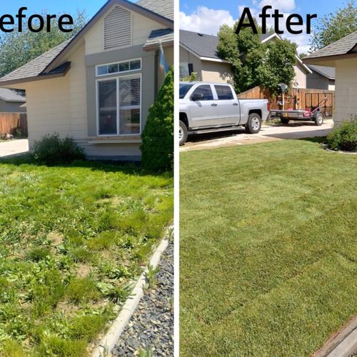 Sod Installation