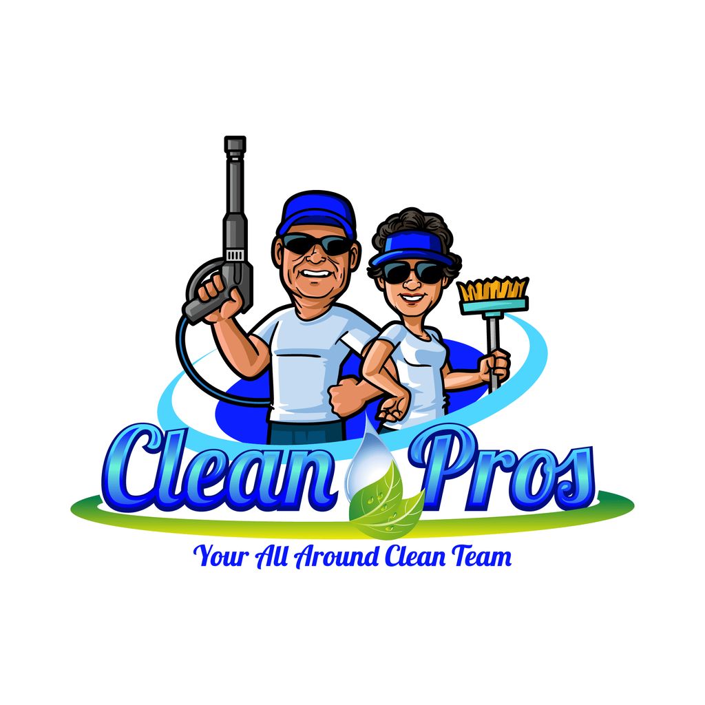Clean Pros