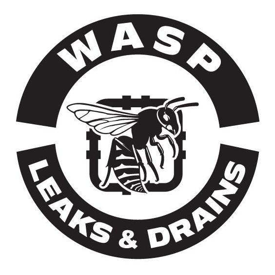 WASP LEAKS & DRAINS
