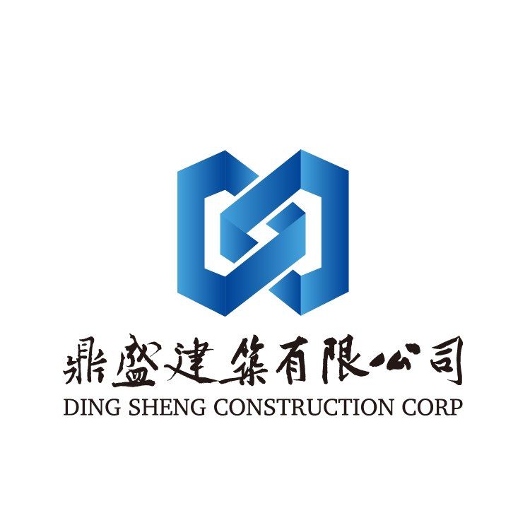 DS Construction INC