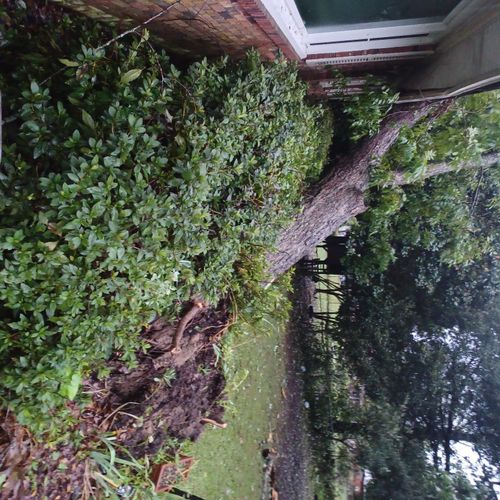 We had experienced tree damage when an 80-year-old