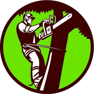 Avatar for Pro Tree Service LLC.