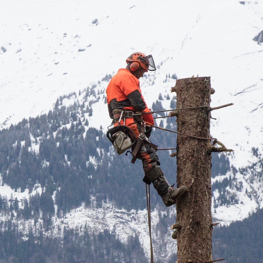 Alvarez Tree Service LLC