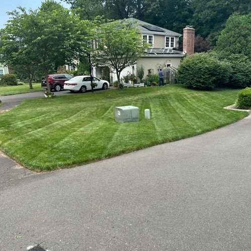 Lawn Mowing and Trimming