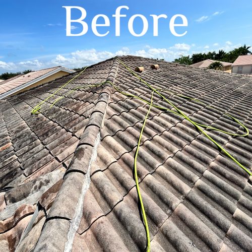 Roof Cleaning