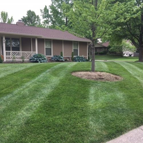 Lawn Mowing and Trimming