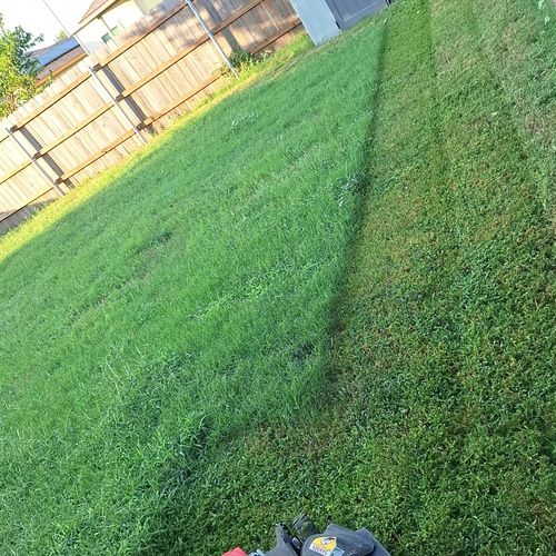 Lawn Mowing and Trimming