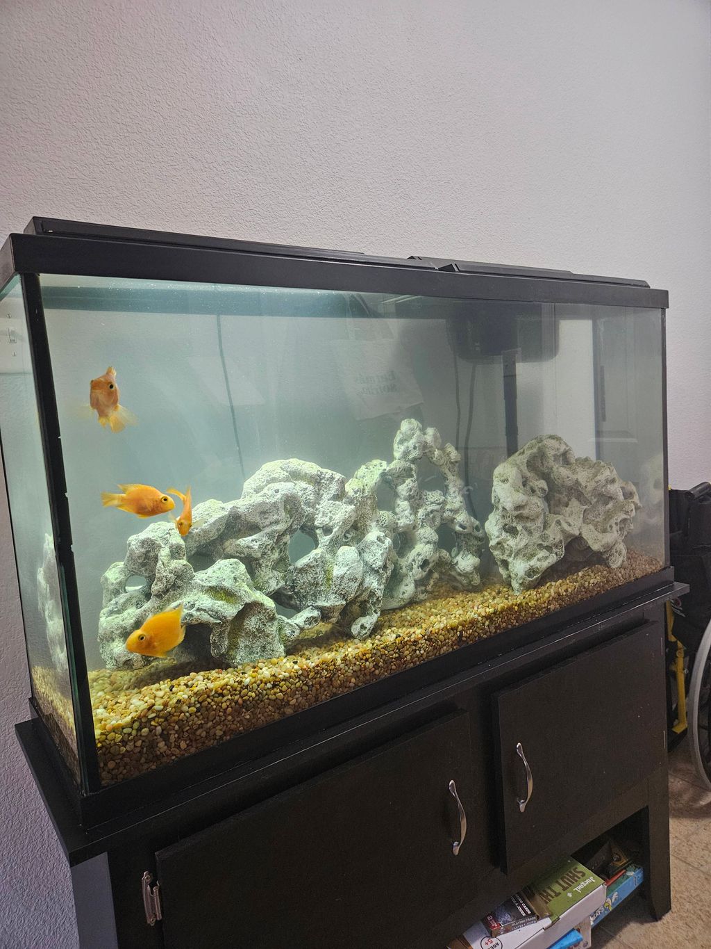 Customer photos