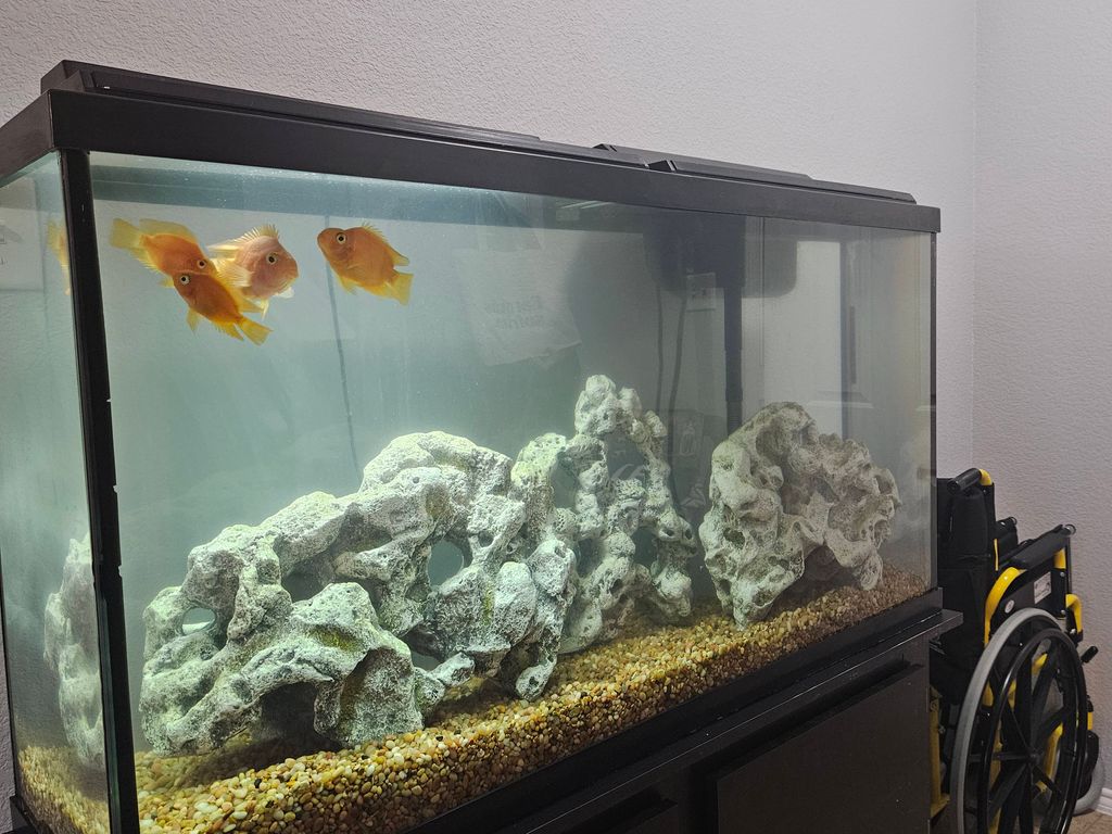 Customer photos