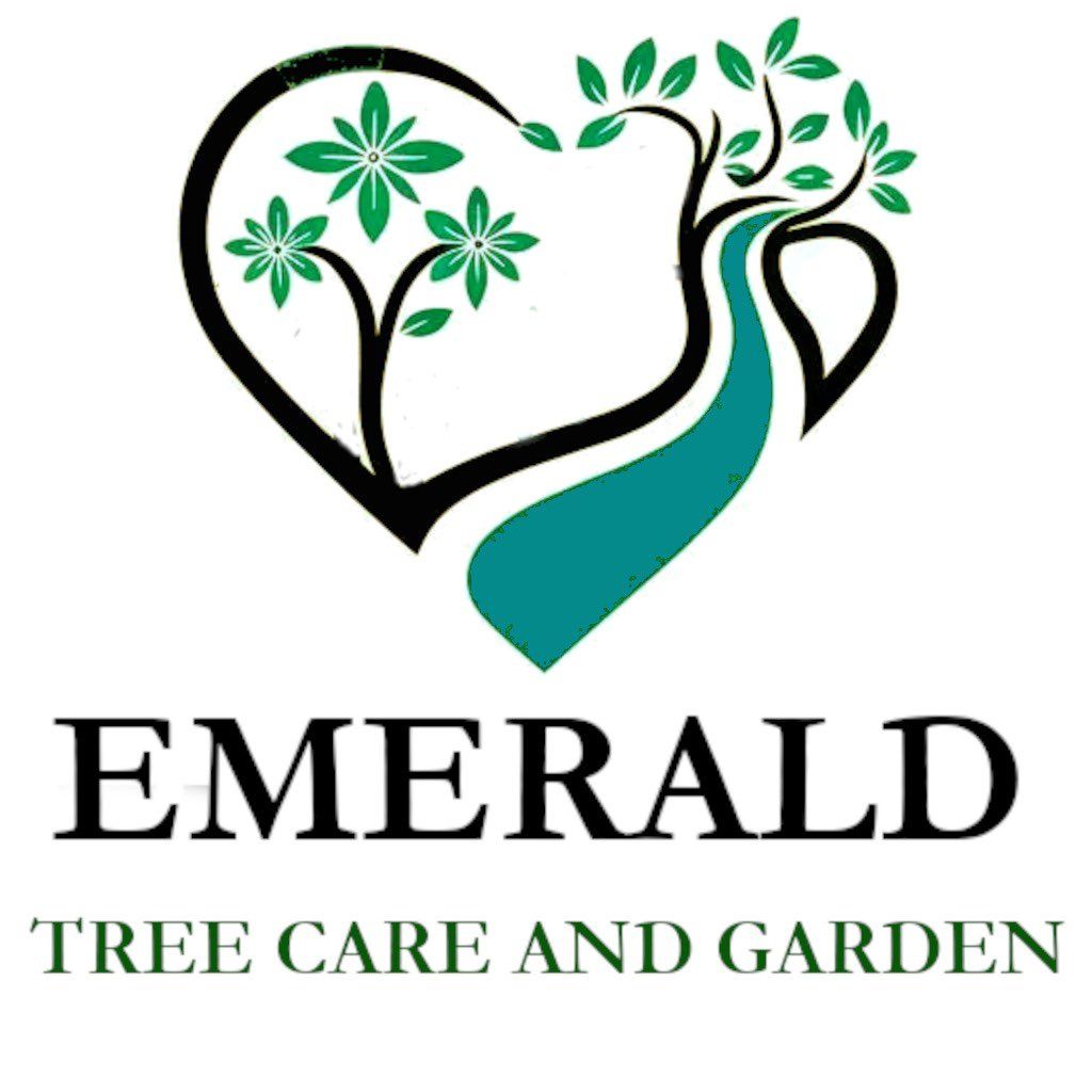 Emerald Tree Care and Garden