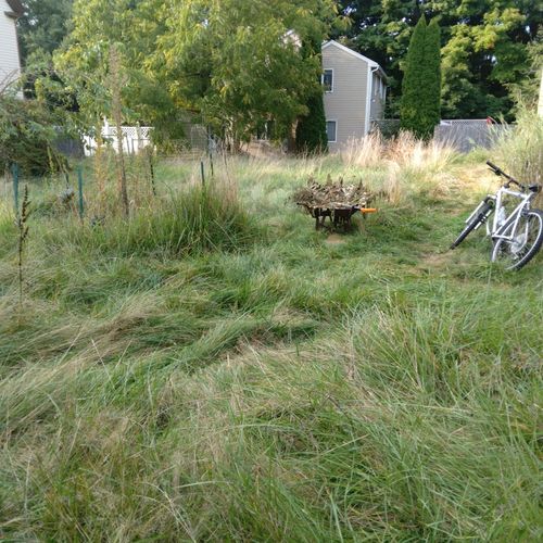 Lawn Mowing and Trimming