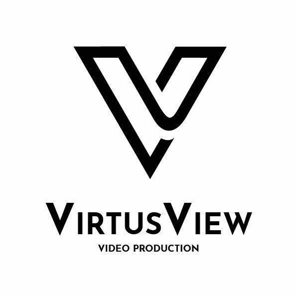 VirtusView LLC