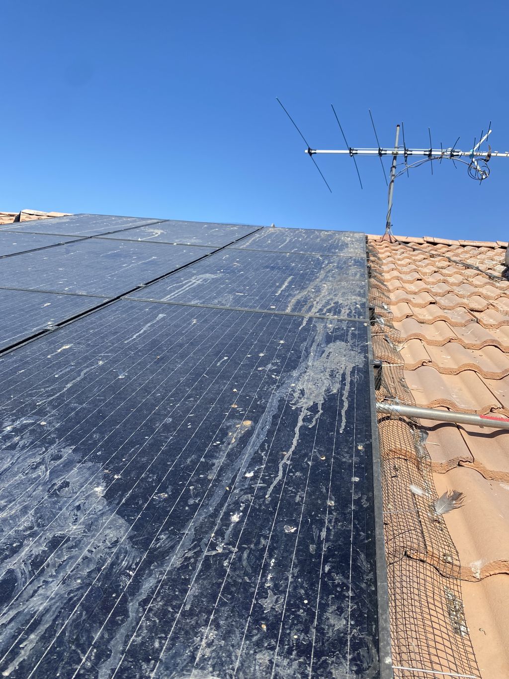 Solar Panel Cleaning