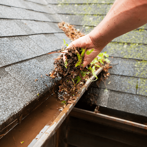 Gutter Cleaning and Maintenance