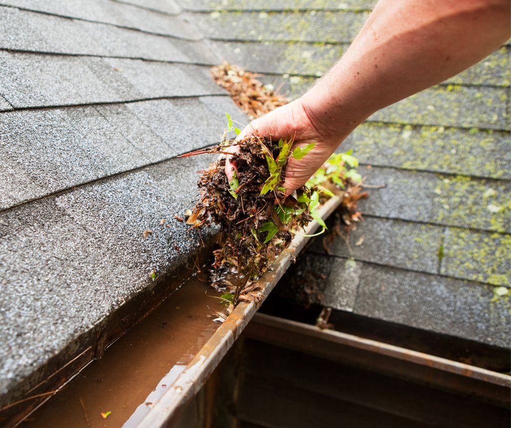 Gutter Cleaning and Maintenance