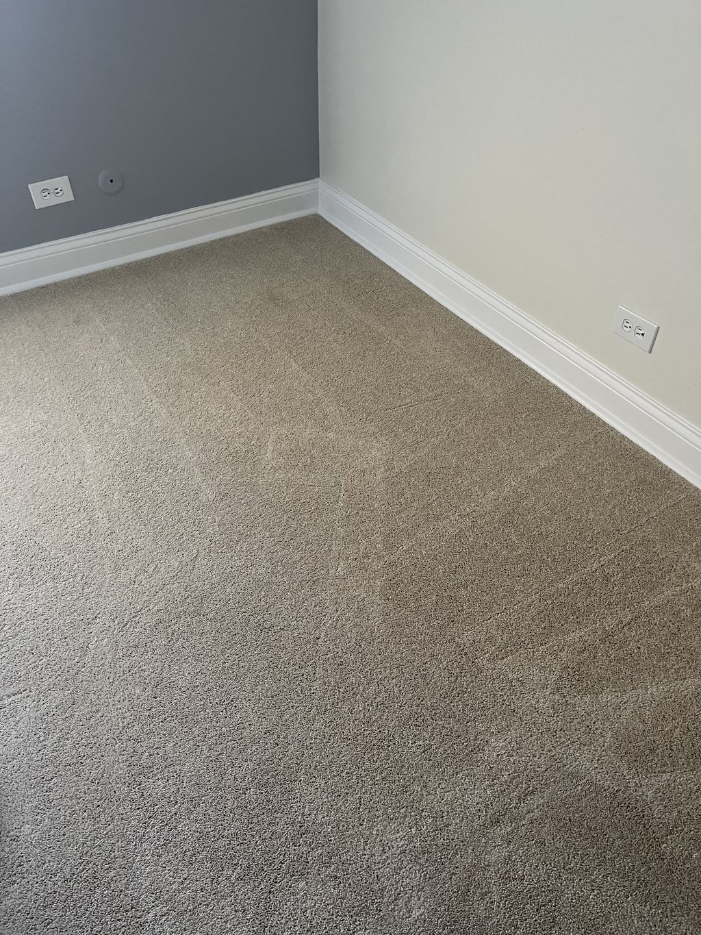 Carpet Cleaning