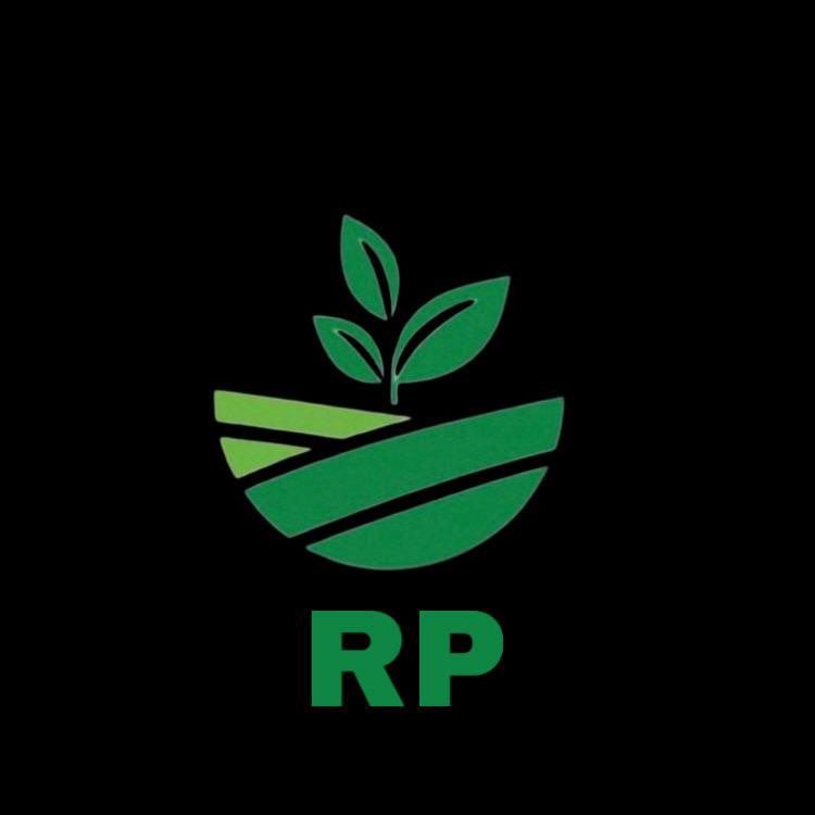 RP LAWN LANDSCAPE AND SNOW LLC