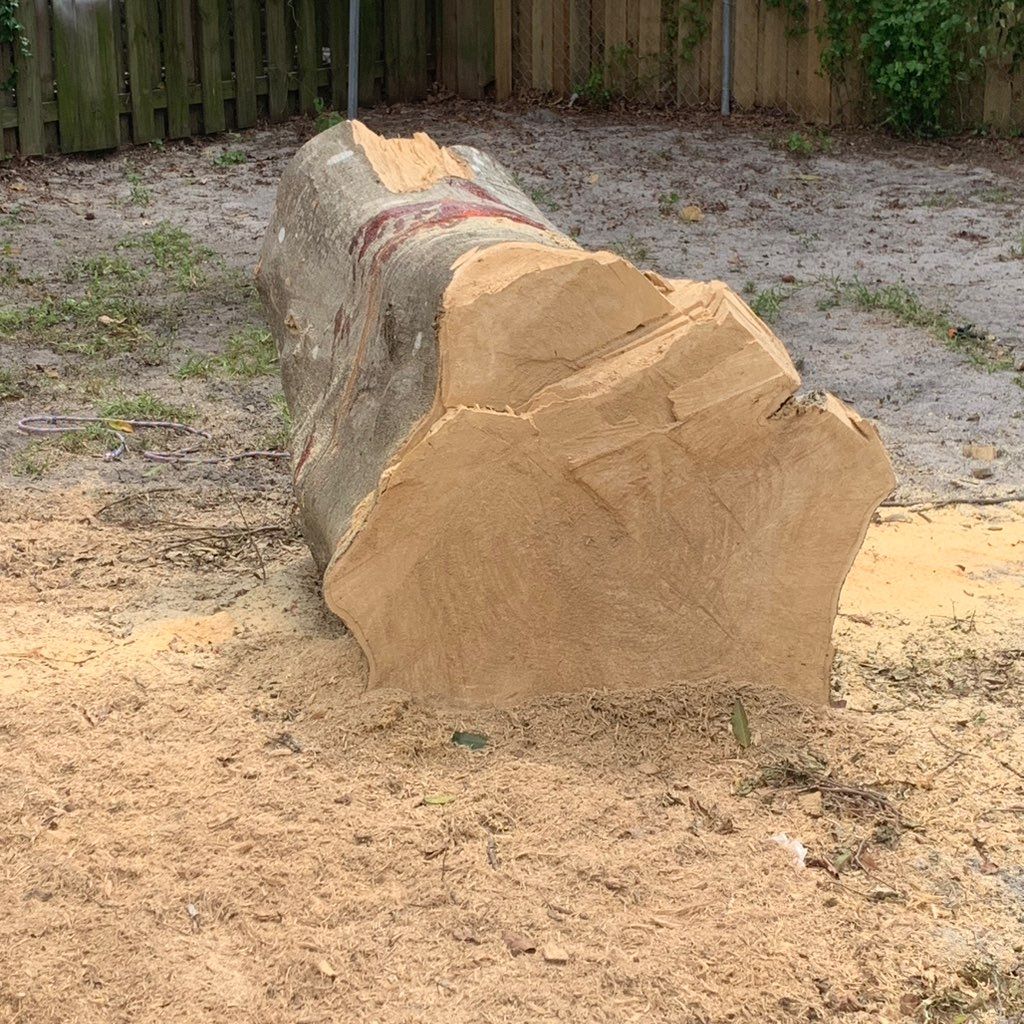 ATF ALL TREES FLORIDA
