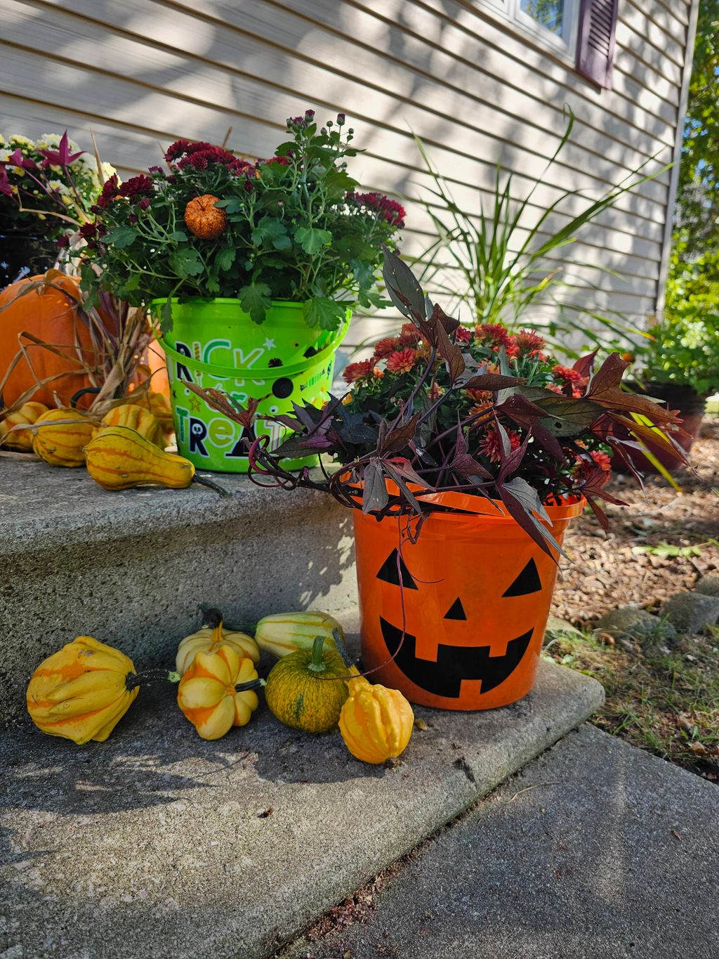 More mums arrangements to add a spooky element to 