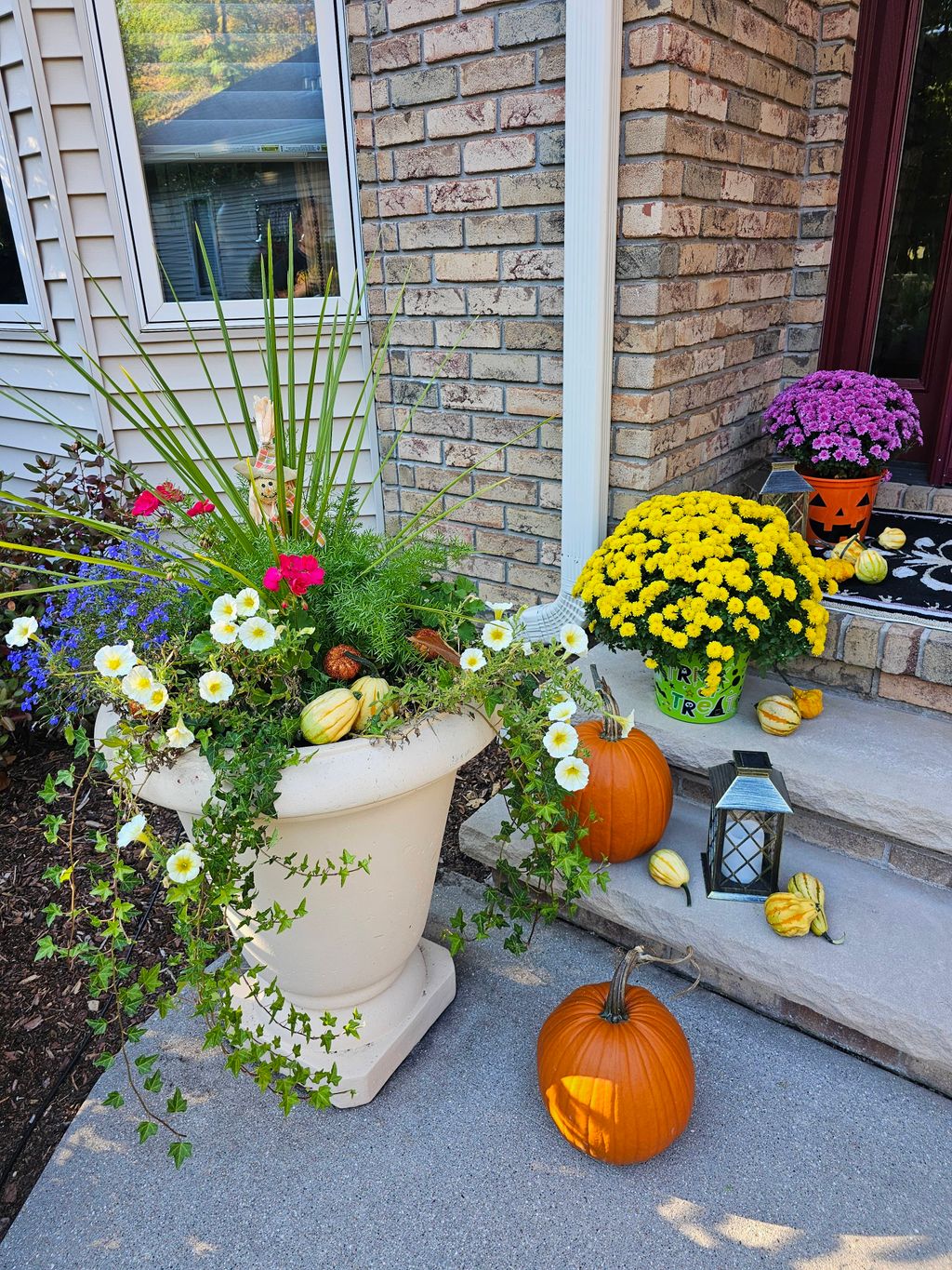Fall time brings mums, gourds and pumpkins while t