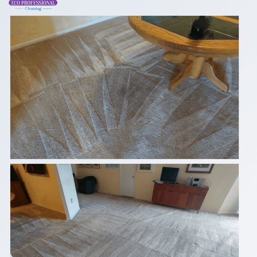 Carpet Cleaning 