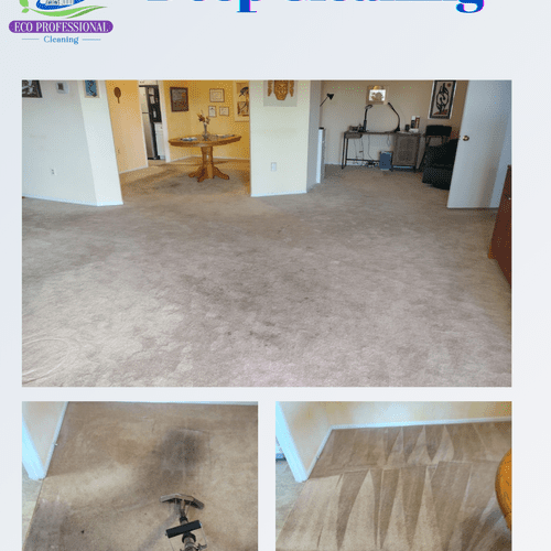 Carpet Cleaning 