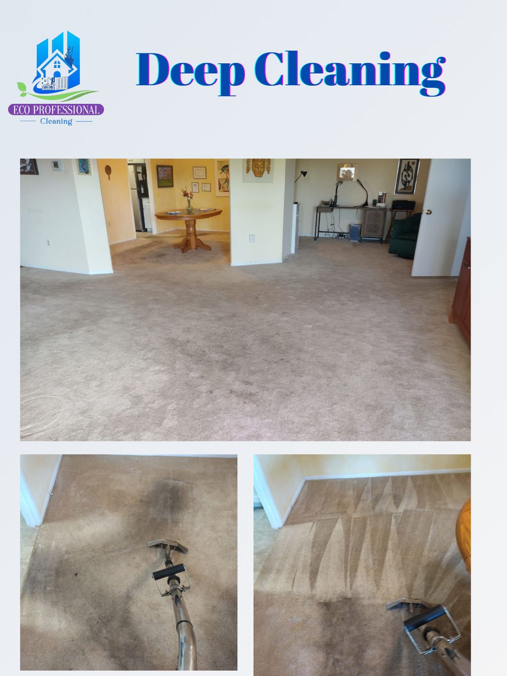 Carpet Cleaning 