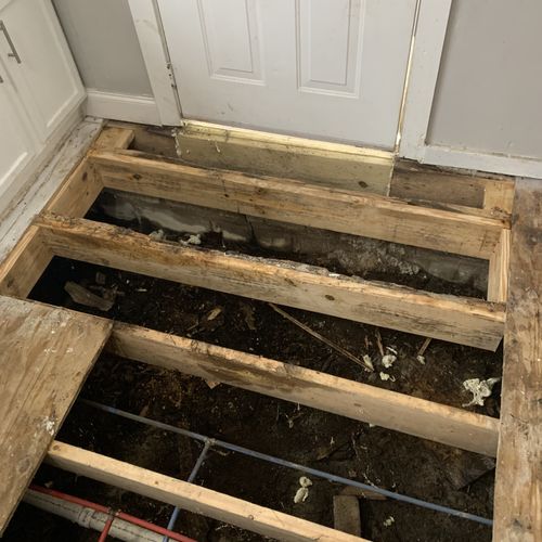 Floor Installation or Replacement