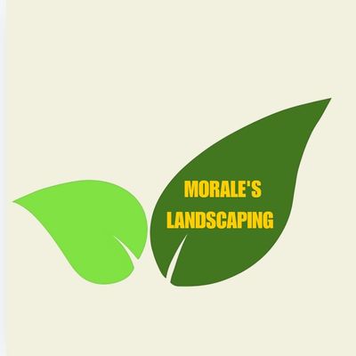 Avatar for MORALE'S LANDSCAPING