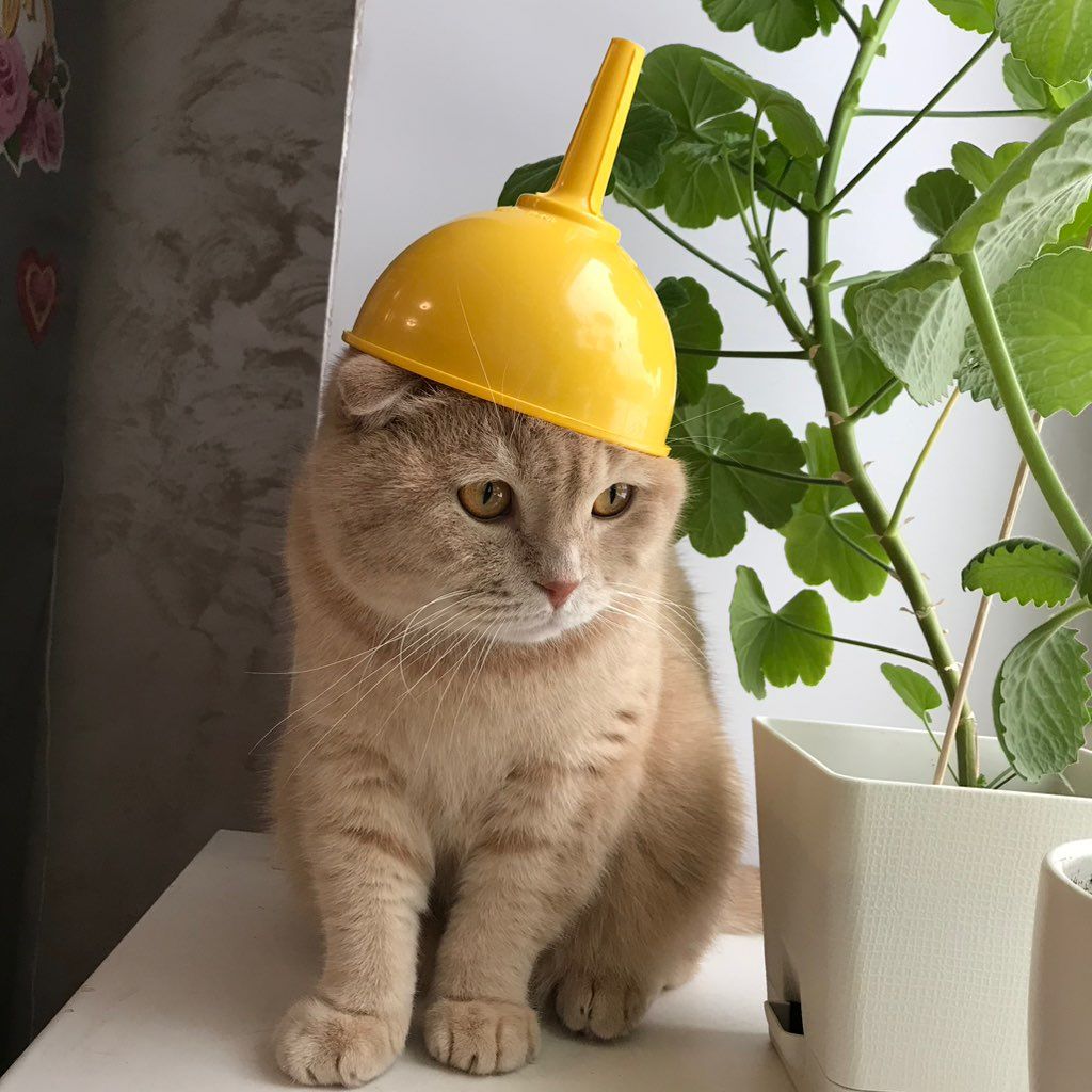 General Handyman