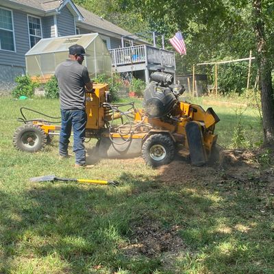 Avatar for Martinez Tree Service and Landscaping