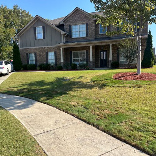 Shrub Trimming and Removal