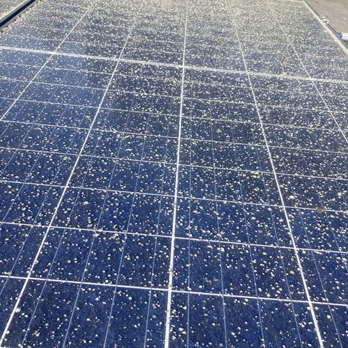 Solar Panel Cleaning