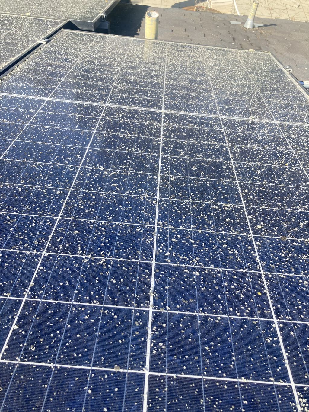 Solar Panel Cleaning