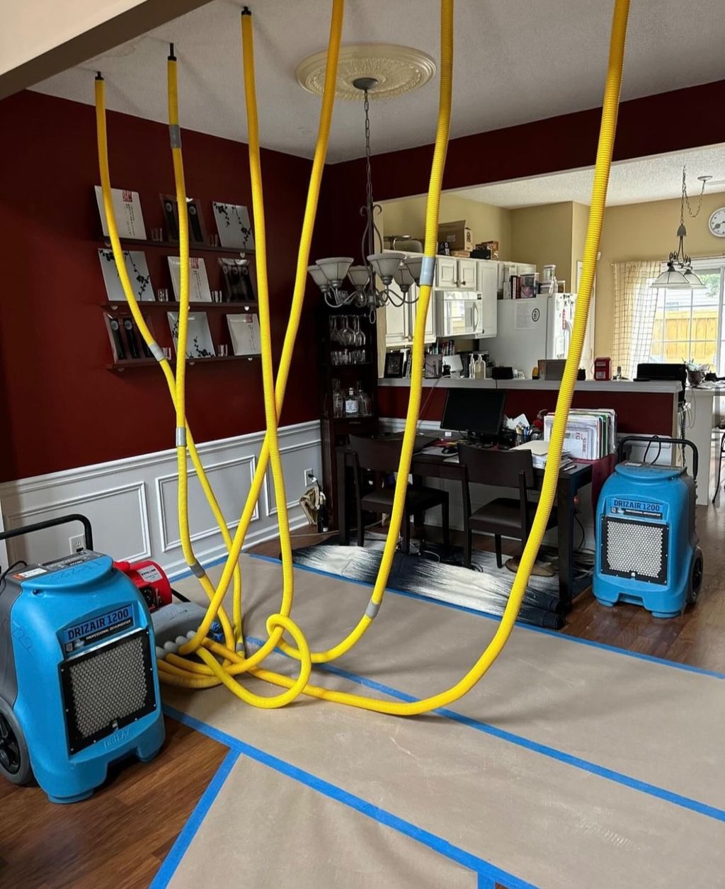 Customer photos