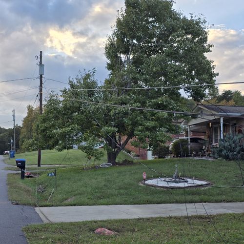 Tree Trimming and Removal