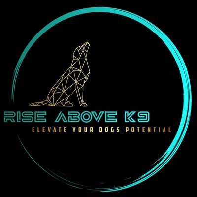 Avatar for Rise Above K9 Training LLC