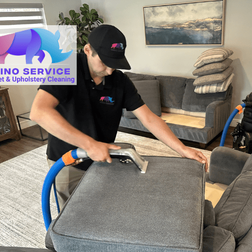 Upholstery and Furniture Cleaning